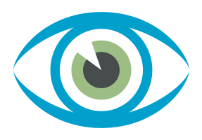 Vision